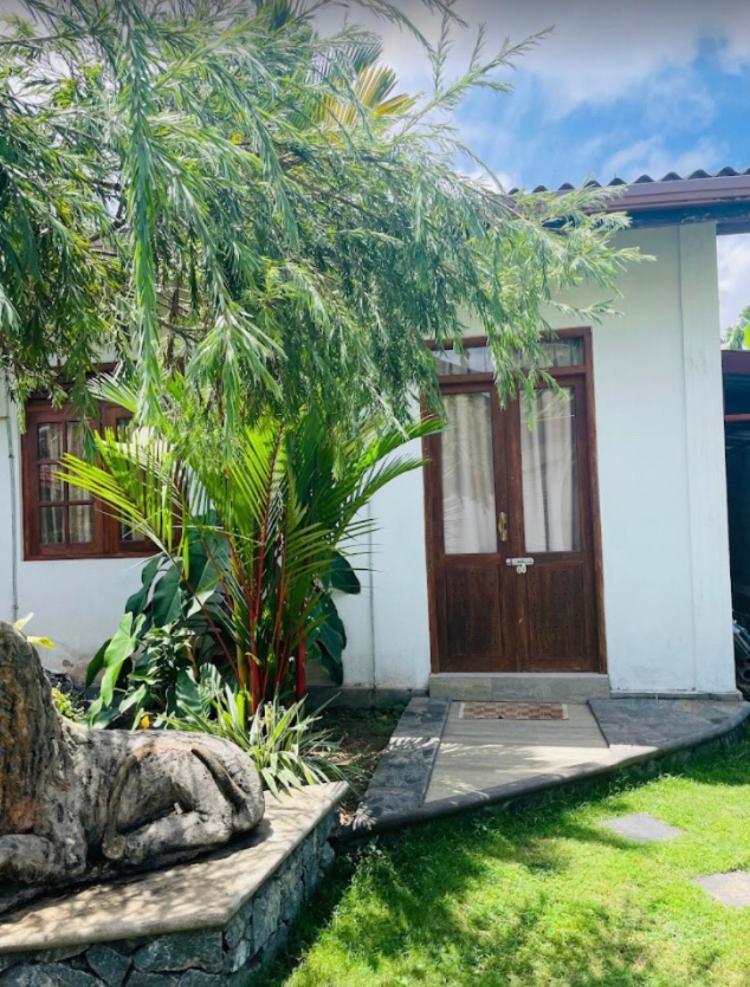 Ice Berg Appartement Dehiwala-Mount Lavinia Buitenkant foto